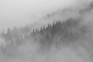 fog - English Courses in the Philippines