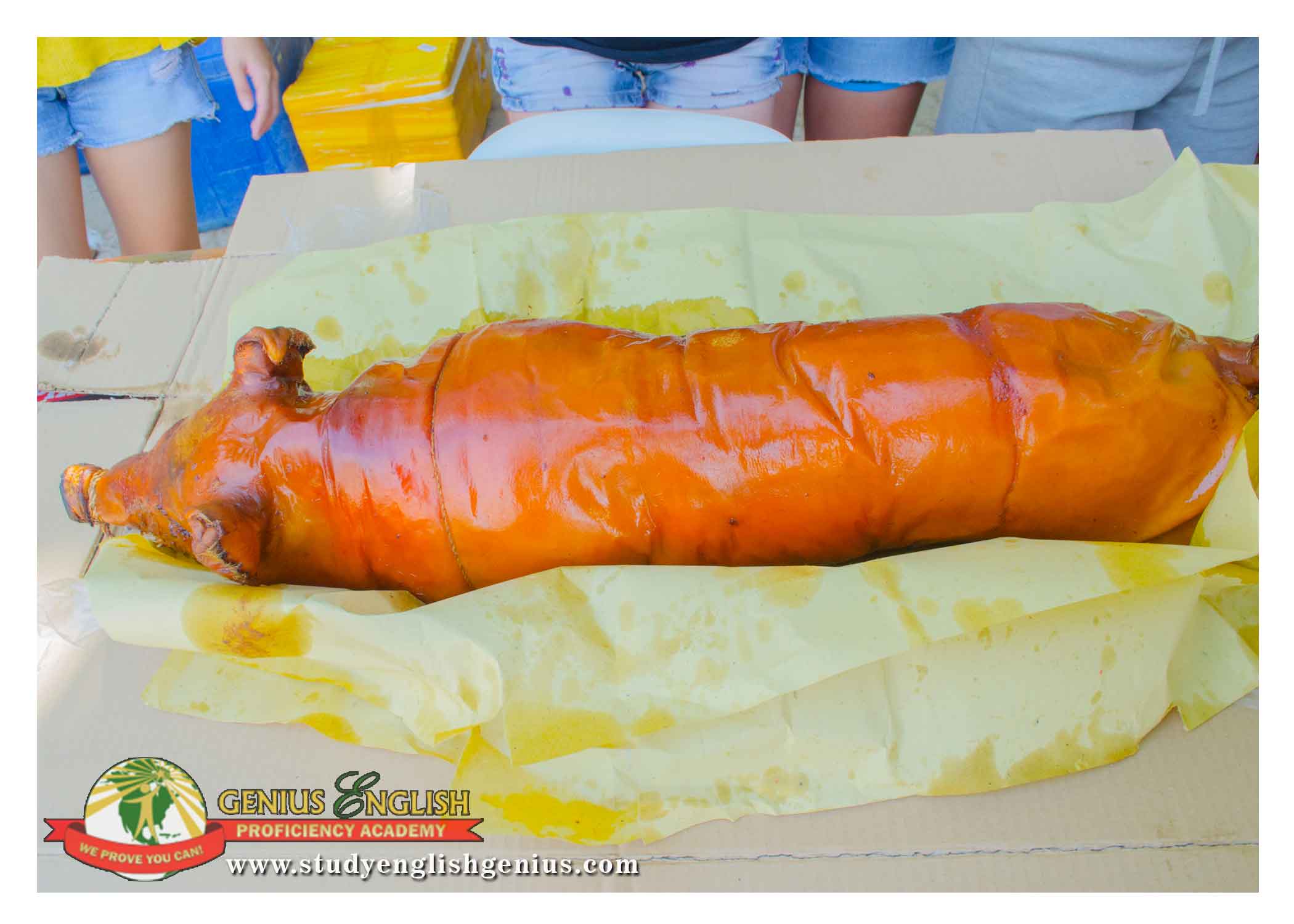 Prices study English in the Philippines-Study English in Cebu