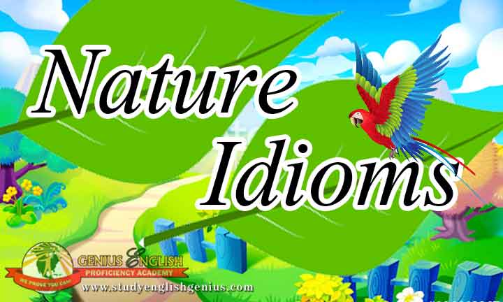 English Courses in the Philippines-4