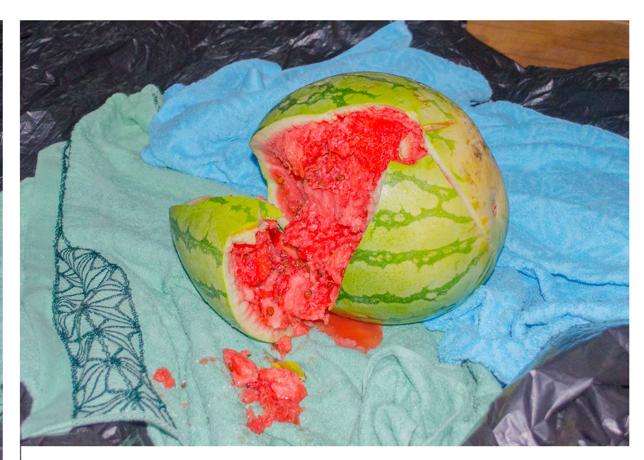 Study in the Philippines-7